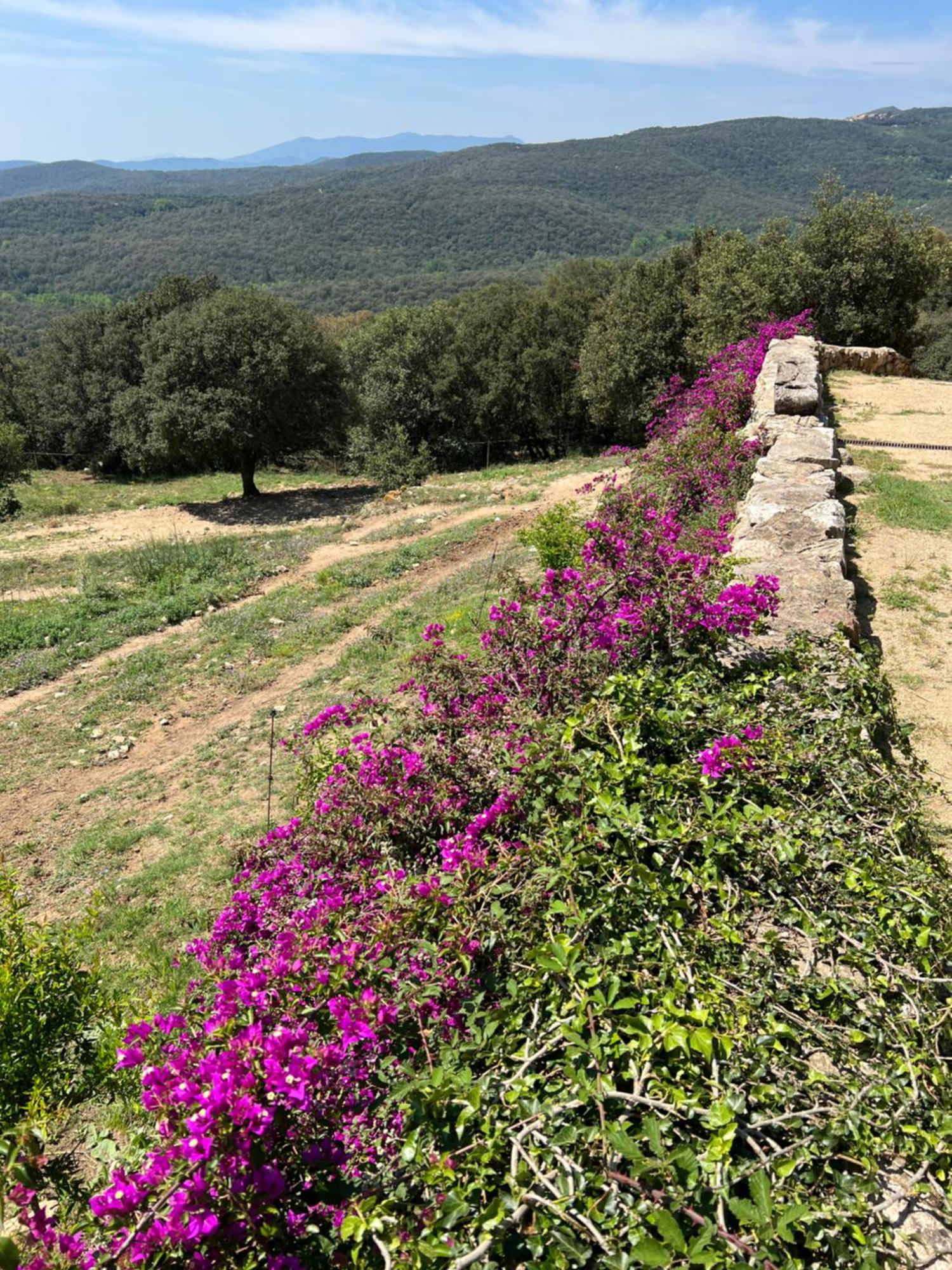 Can Maimes Agullana Exterior photo